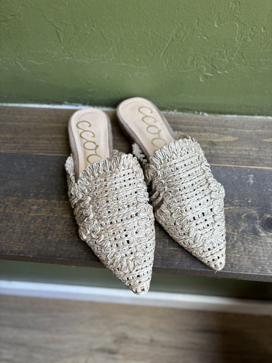 Cocci Monaco Shoes